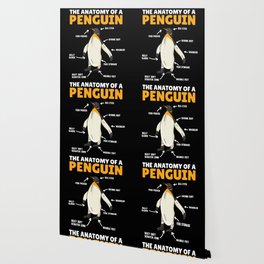 Funny Explanation Of A Penguin The Anatomy Wallpaper