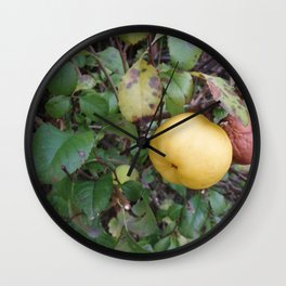 Oragnic Food nature photohraphy  Wall Clock