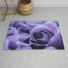 Lavender roses Rug | Color, Photo, Digital, Purple 