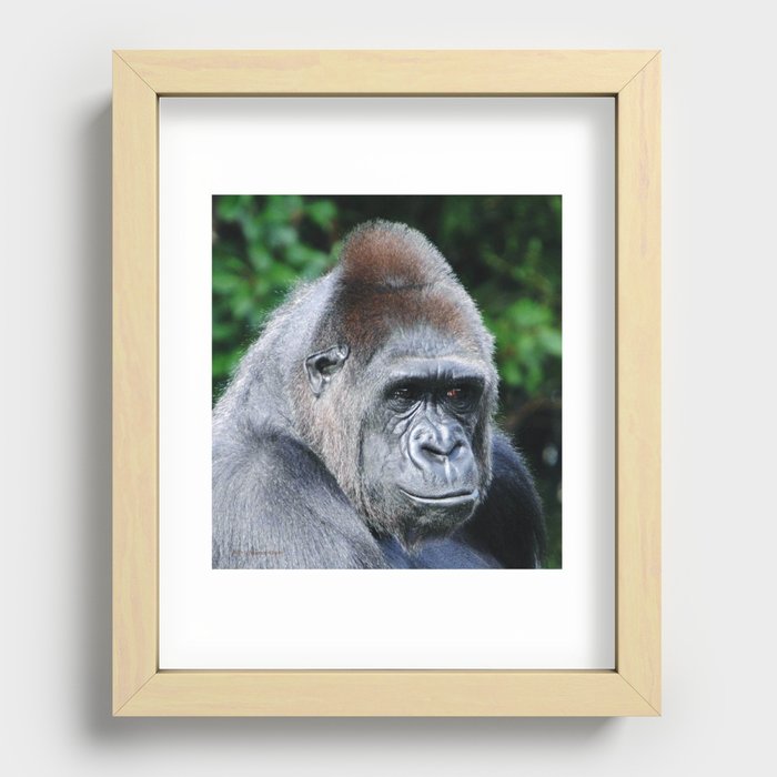 A Beautiful Strong Face Recessed Framed Print
