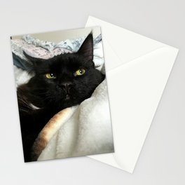 THE CAT WITH NO NAME M* Stationery Cards