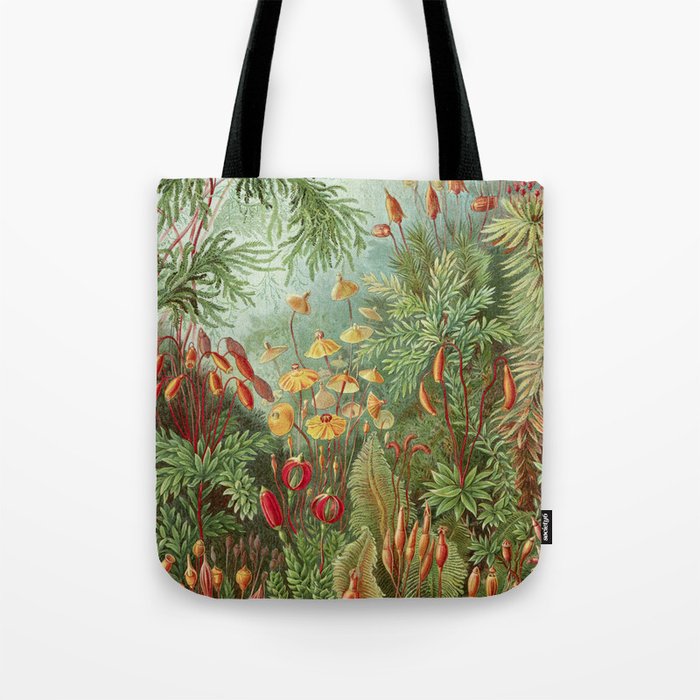 Scientific Ilration Of Moss In The Forest Haeckel 1904 Tote Scientific Ilration Of Moss In The Forest Haeckel 1904 Tote Bag