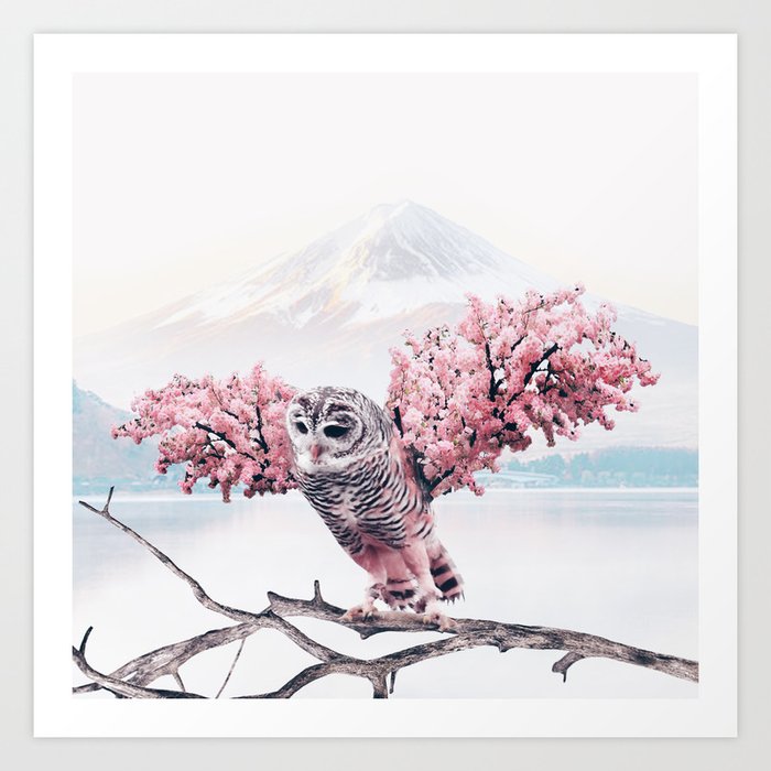 Sakura Owl Art Print