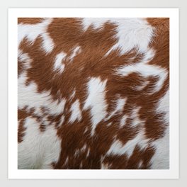 Brown and White Cowhide, Cow Skin Pattern, Farmhouse Decor Art Print