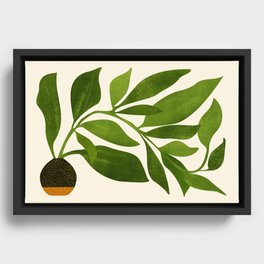 The Wanderer - House Plant Illustration Framed Canvas