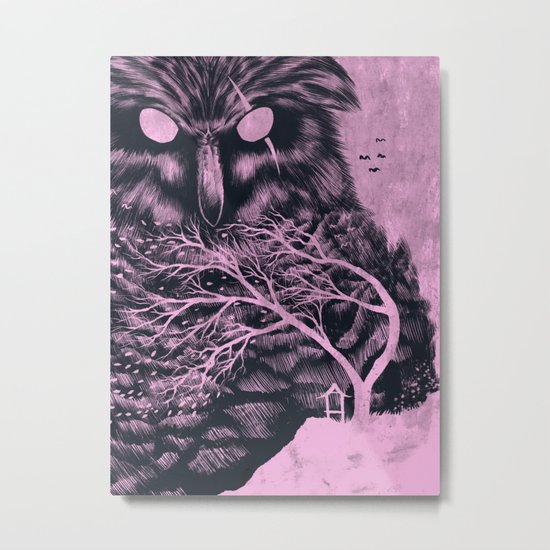 Owl Metal Print