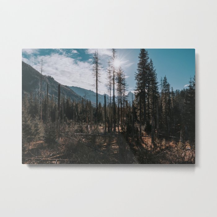 Sunny Trail - Landscape and Nature Photography Metal Print