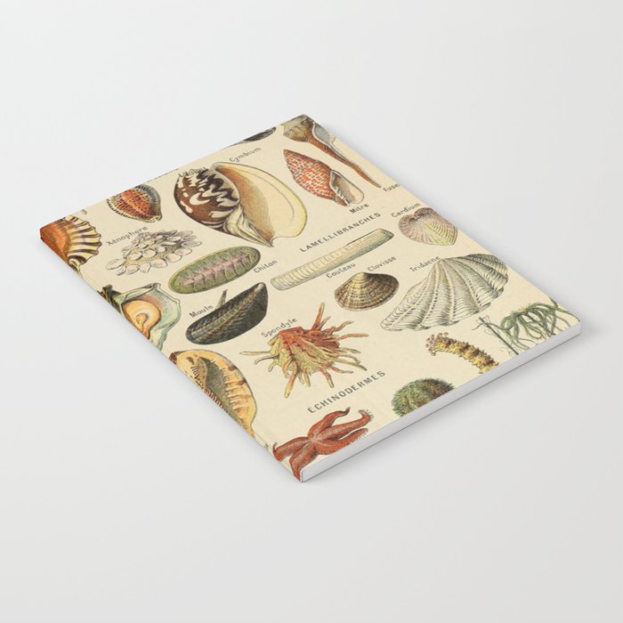 Mollusques by Adolphe Millot Notebook