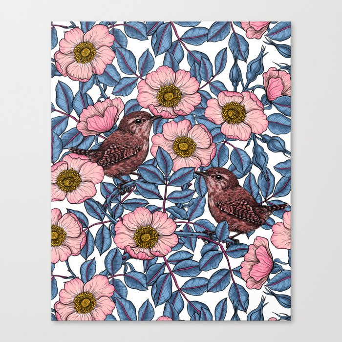 Wrens in the roses  Canvas Print