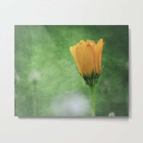 Painter's Brush Metal Print
