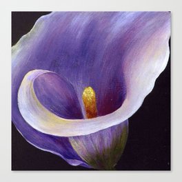 Lavender Calla Lily Canvas Print
