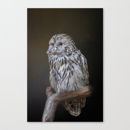 Cute Owl Canvas Prints For Any Decor Style Society6
