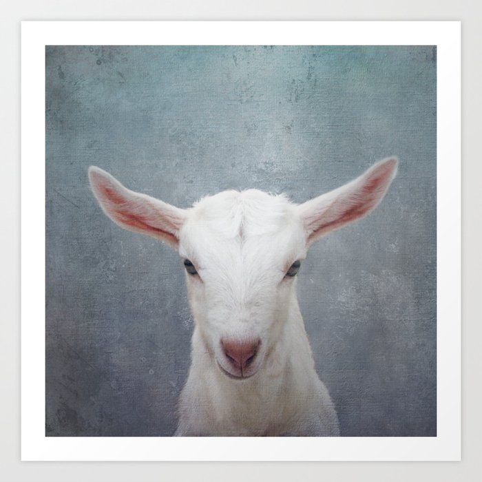 The Goat Who Stares At Men Art Print