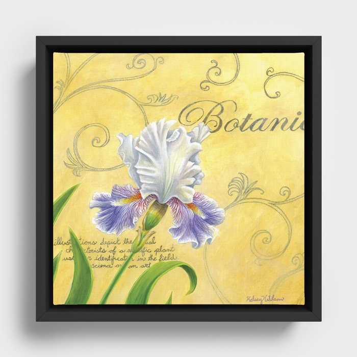 Purple and White Iris Framed Canvas