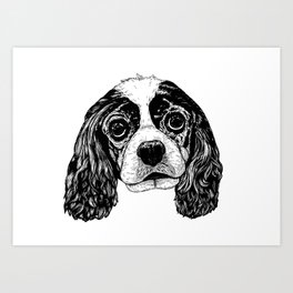 Cavalier King Charles Spaniel Dog Drawing Art Print