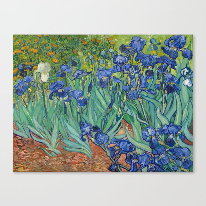 Vincent van Gogh "Irises" Canvas Print