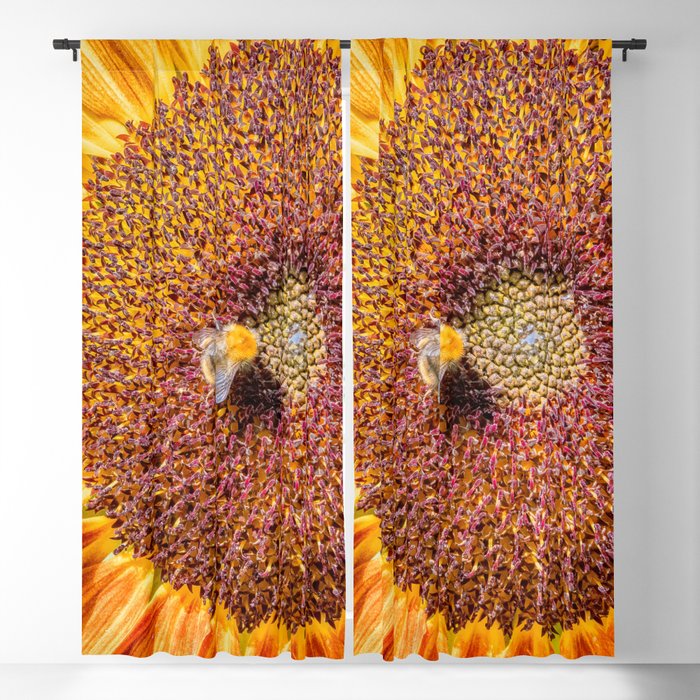 Close up view of a Sunflower bloom with a bee collecting pollen Blackout Curtain