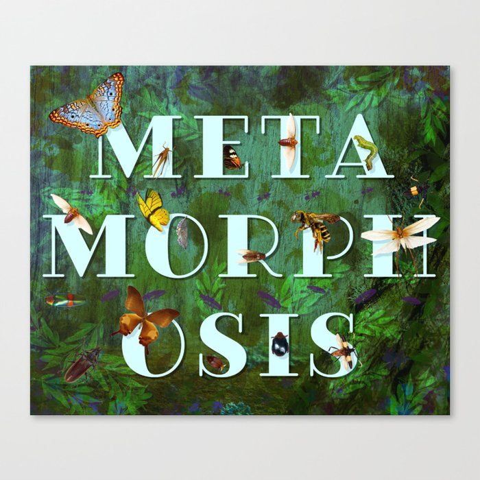 META MORPH OSIS Green Canvas Print