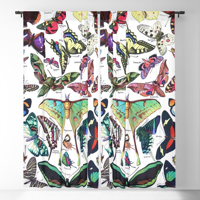 Adolphe Millot "Butterflies" 3. Blackout Curtain