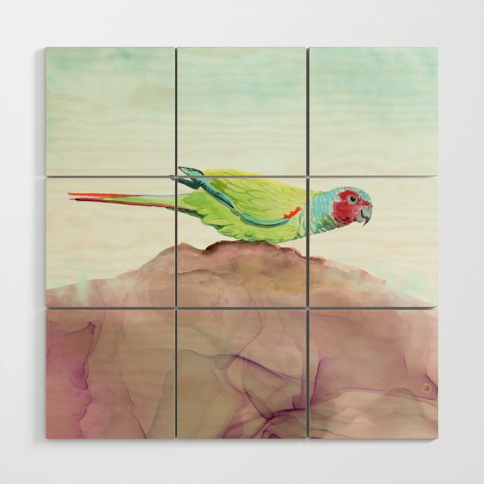 Parrot Painting - Pfrimer's Parakeet Tropical Bird Print - Nature Art for Bird Lovers  Wood Wall Art
