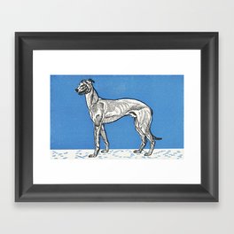Greyhound by moriz jung Framed Art Print