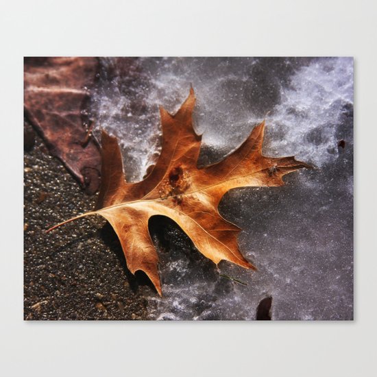 February Thaw Canvas Print