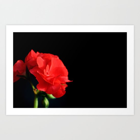 Red on black Art Print