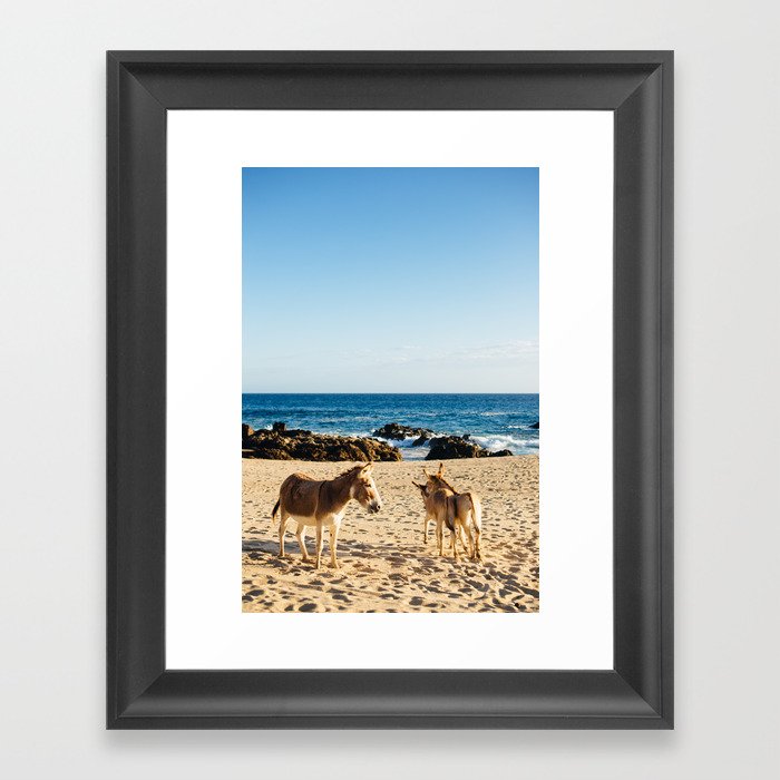 Donkeys on the beach Framed Art Print