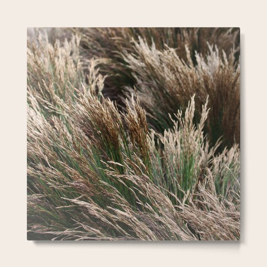 Restio Metal Print