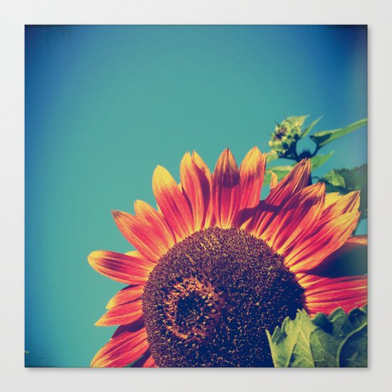 Summer Sunflower Canvas Print