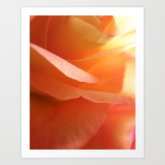 Two-Tone Roses #9 Art Print
