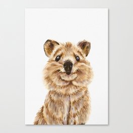 Quokka, the happiest animal on Earth Canvas Print