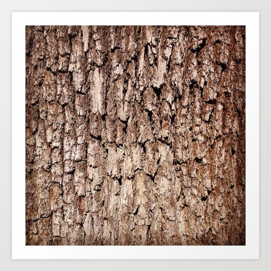 Oak Bark Texture Art Print