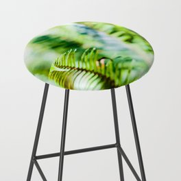 Fern foliage.  Bar Stool