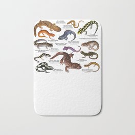 Salamanders of North America Bath Mat | Illustration, Wildlifeart, Usasalamander, Amphibians, Salamanderart, Salamanders, Northamerica, Salamanderposter, Drawing, Tigersalamander 