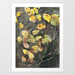 Dried Quince Art Print