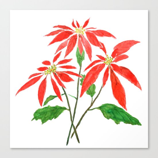 christmas flower Canvas Print