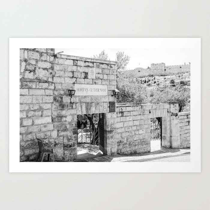 Garden of Gethsemane Black & White Israel Photography Art Print