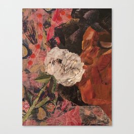 Peony in Bloom Canvas Print