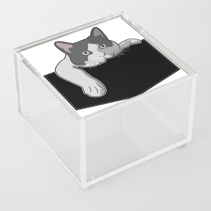 CAT IN THE POCKET Acrylic Box