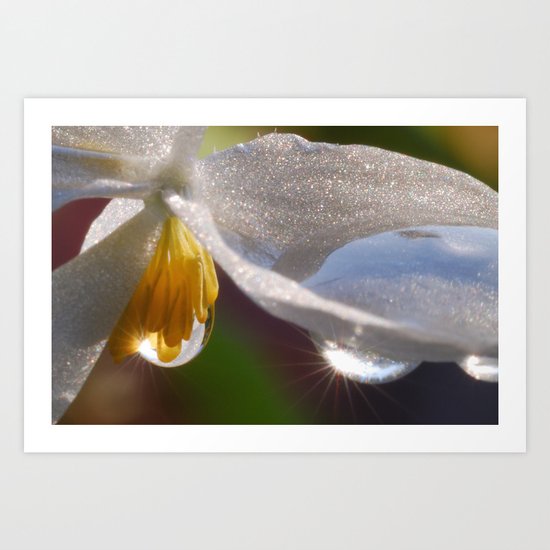 Sun drops Art Print