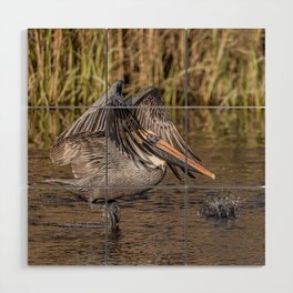 Pelican Taking off on the Bayou Wood Wall Art