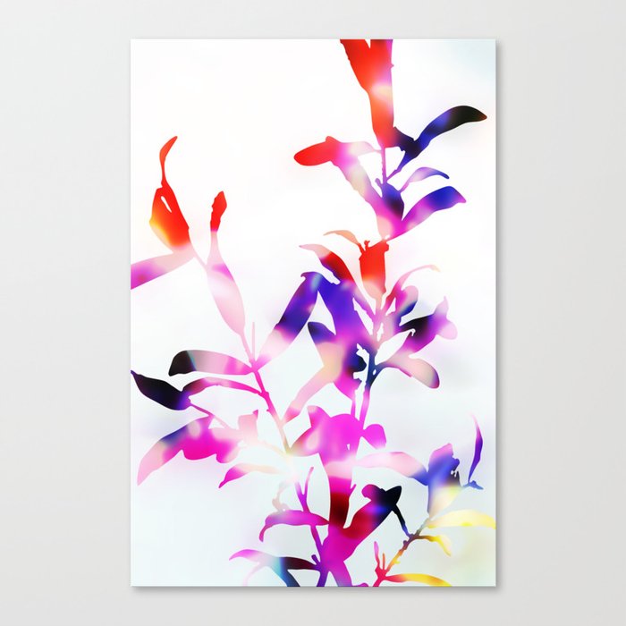 Florescence Viola Canvas Print