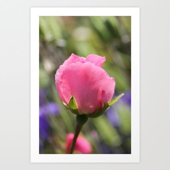 Sweet Rose Art Print