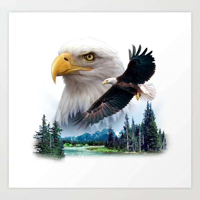 Bald Eagle River Art Print