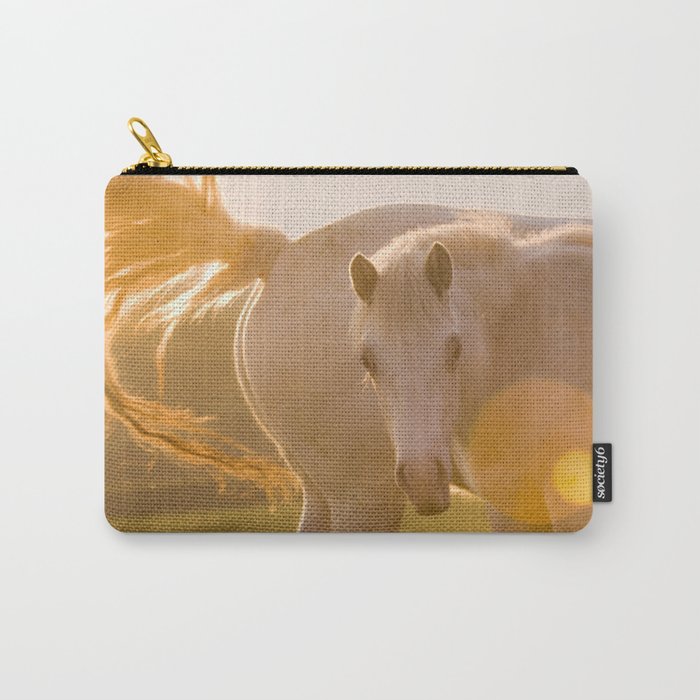 sun in horse's tail Carry-All Pouch