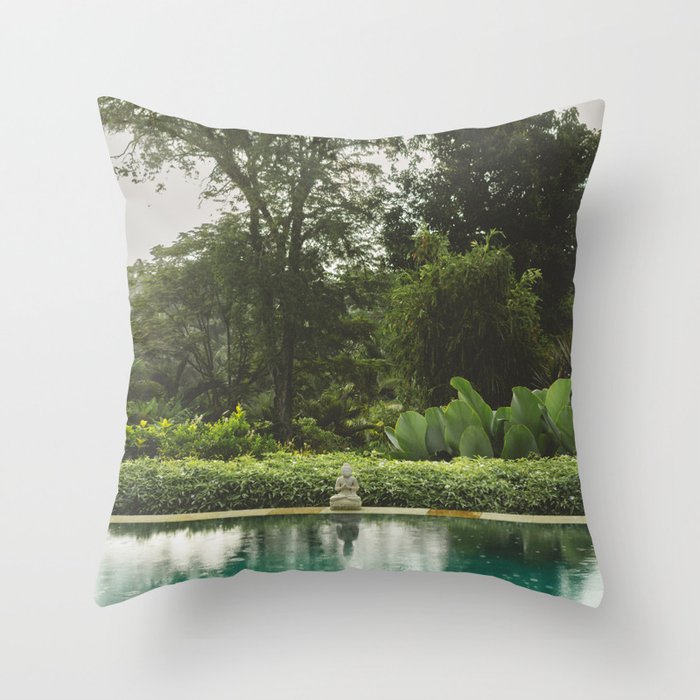 Throw Pillow