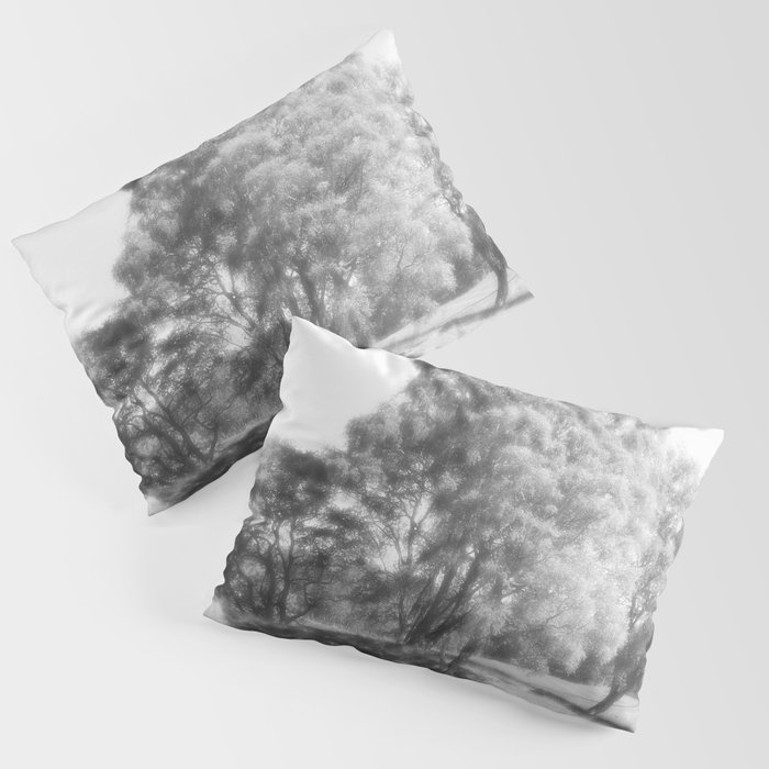 We Three Trees of the Scottish Highlands a Different Perspective  Pillow Sham