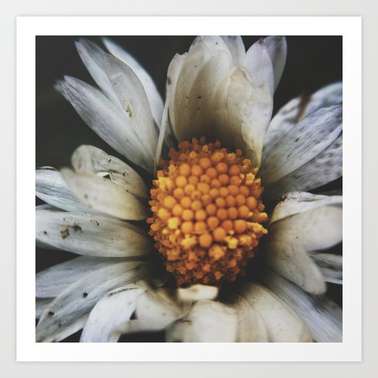 Flower Power Art Print