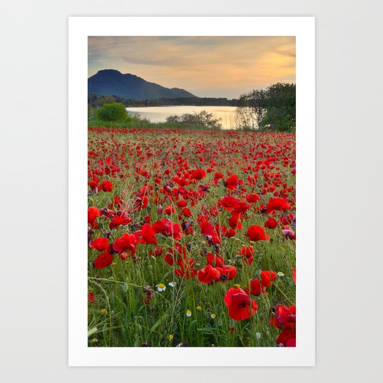 Field of poppies in the lake Art Print